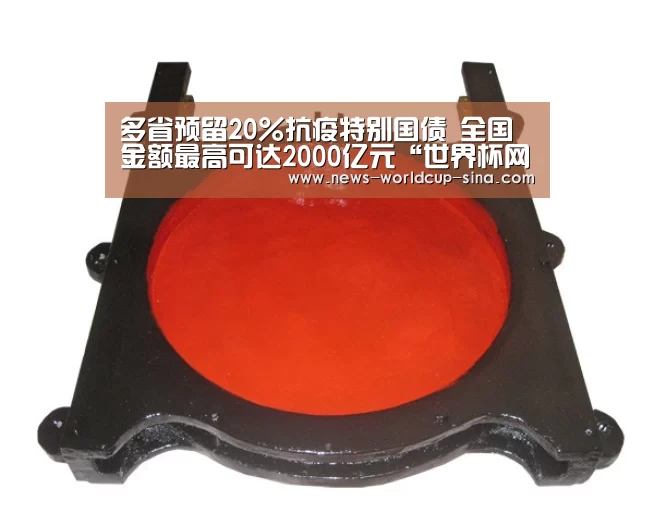 多省预留20%抗疫特别国债 全国金额最高可达2000亿元“世界杯网站”(图1) 2026世界杯