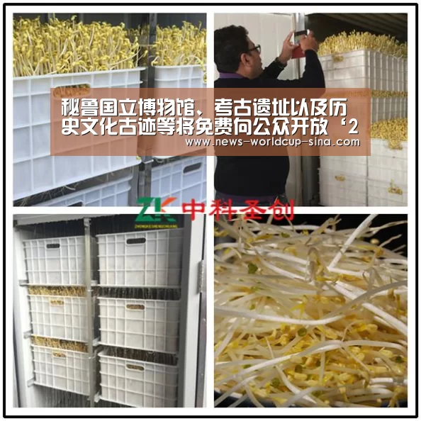 秘鲁国立博物馆、考古遗址以及历史文化古迹等将免费向公众开放‘2026世界杯官网’