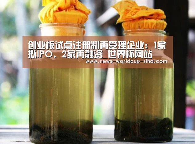 创业板试点注册制再受理企业:1家拟IPO、2家再融资_世界杯网站