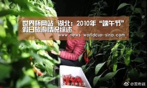 世界杯网站-湖北：2010年“端午节”假日旅游情况综述