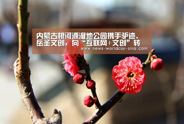 世界杯网站