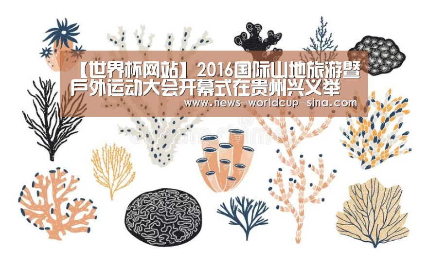 【世界杯网站】2016国际山地旅游暨户外运动大会开幕式在贵州兴义举行