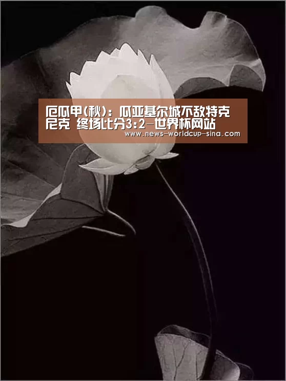 厄瓜甲(秋): 瓜亚基尔城不敌特克尼克 终场比分3:2-世界杯网站(图3) 2026世界杯